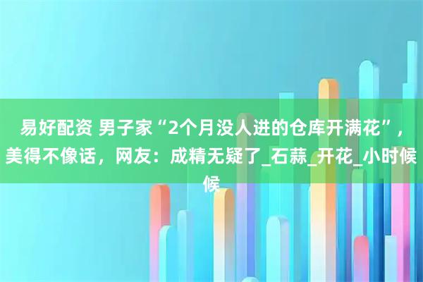 易好配资 男子家“2个月没人进的仓库开满花”，美得不像话，网友：成精无疑了_石蒜_开花_小时候