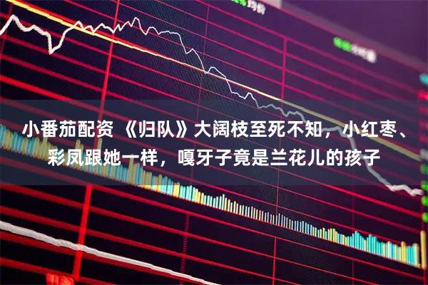 小番茄配资 《归队》大阔枝至死不知，小红枣、彩凤跟她一样，嘎牙子竟是兰花儿的孩子